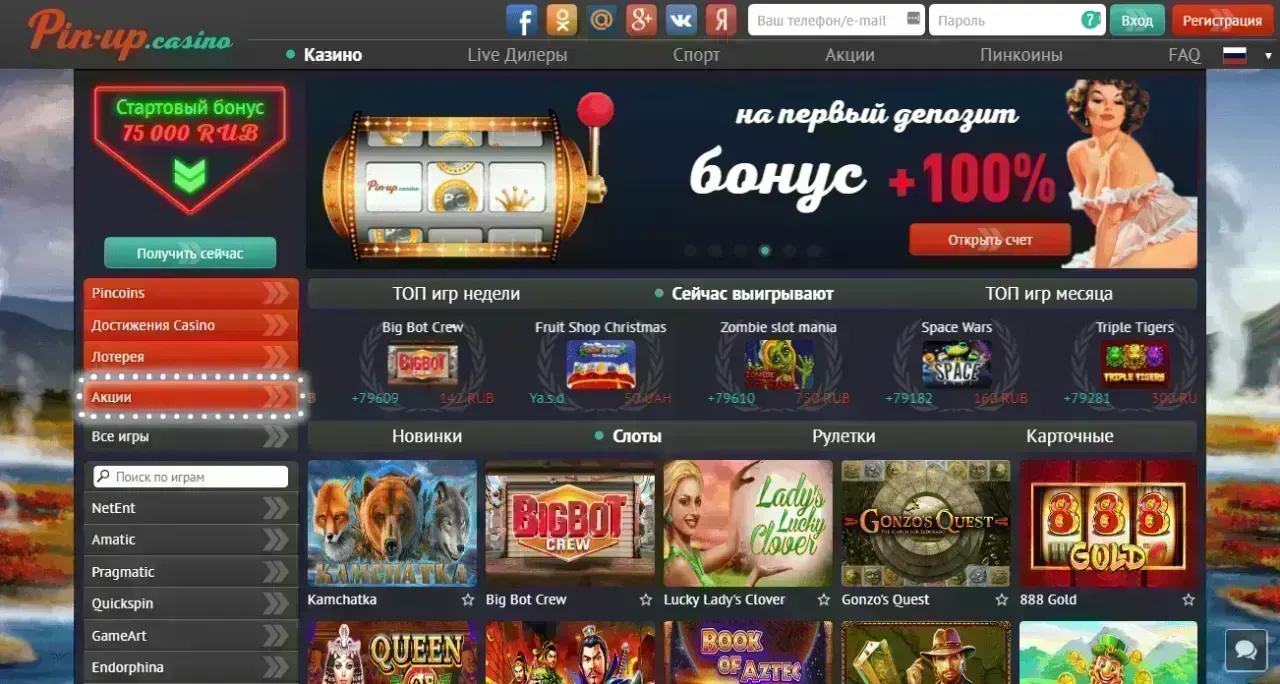 Ключевые факты о Pin Up